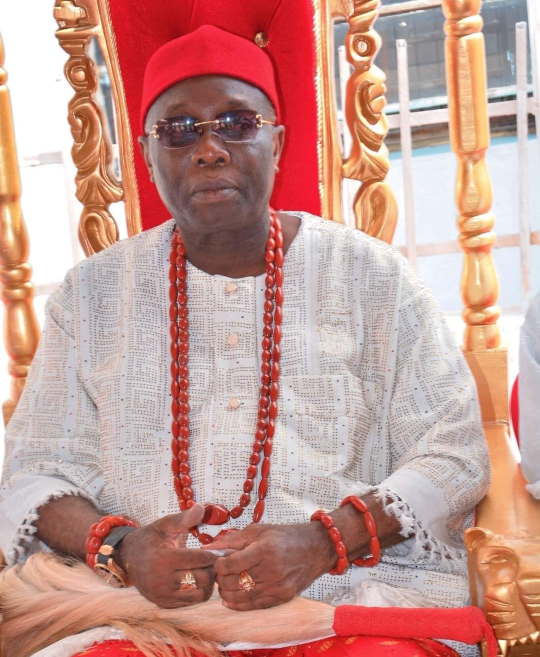 Professor Epiphany Azinge, 14th Asagba of Asaba